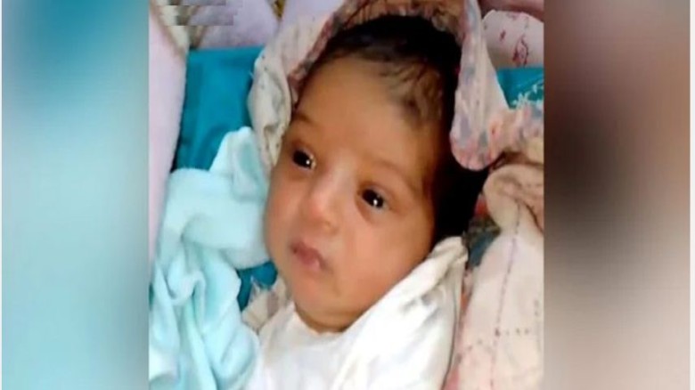 শুরু হয়েছে শীতের মৌসুম, শীতের ফুলে রঙিন প্রকৃতি